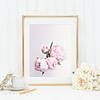 Pink Peony Art, Rose Print, Flower Art Pink Poster, Wall Art, Home Decor Print