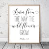 Learn From The Way Wild Flowers Grow, Matthew 6:28 Bible Verse Printable Wall Art Bible Quotes