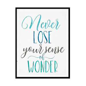 "Never Lose Your Sense Of Wonder" Quote Art Poster Print