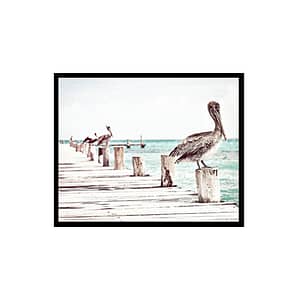 Coastal Pelican Birds Ocean, Sea, Beach Poster Print
