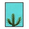 Cactus Poster Print, Cacti Plant Photo, Home Wall Decor